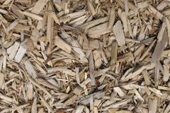 biomass boilers Sugnall